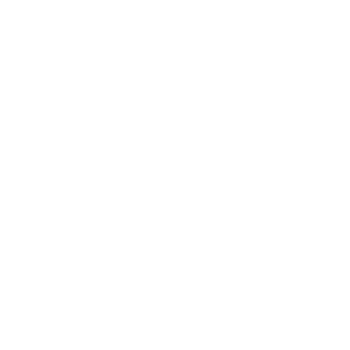 Nocturne Lights